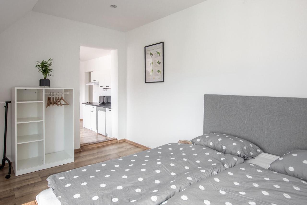 Apartmany Na Mikulasskem Namesti Znojmo Eksteriør billede
